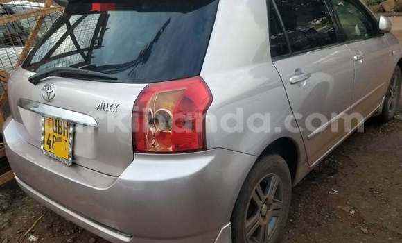 Acheter Occasion Voiture Toyota Allex Autre à Kampala, Ouganda Acheter Occasion Voiture Toyota Allex Autre à Kampala, Ouganda