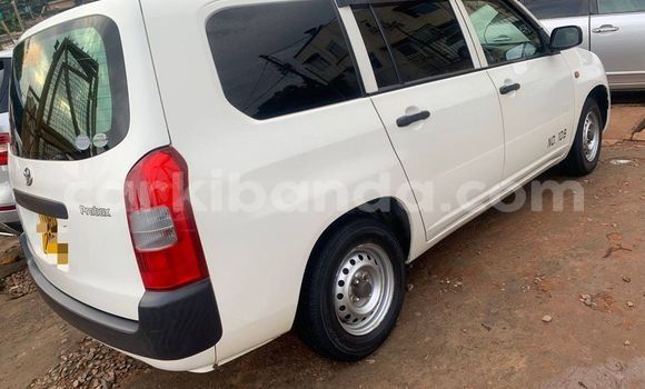 Acheter Occasion Voiture Toyota Probox Blanc à Kampala, Ouganda Acheter Occasion Voiture Toyota Probox Blanc à Kampala, Ouganda