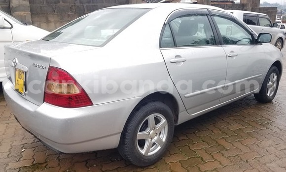Buy Used Toyota Corolla Other Car in Kampala in Uganda