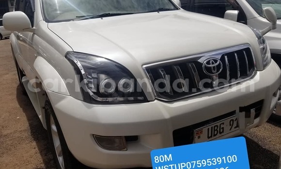 Buy Used Toyota Land Cruiser Prado White Car in Bundibugyo in Western