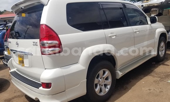 Gura Yakoze Toyota Land Cruiser Prado White Imodoka i Bundibugyo mu Western Gura Yakoze Toyota Land Cruiser Prado White Imodoka i Bundibugyo mu Western