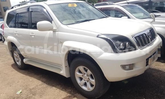 Gura Yakoze Toyota Land Cruiser Prado White Imodoka i Bundibugyo mu Western Gura Yakoze Toyota Land Cruiser Prado White Imodoka i Bundibugyo mu Western