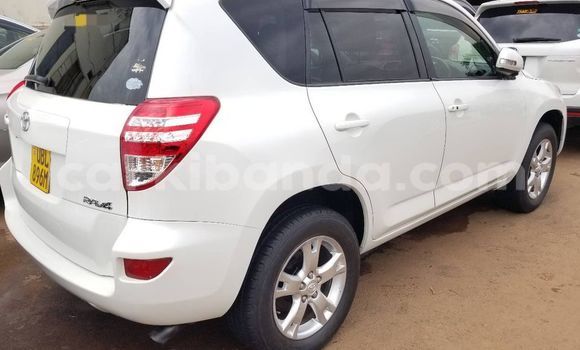 Gura Yakoze Toyota Land Cruiser White Imodoka i Kampala mu Uganda Gura Yakoze Toyota Land Cruiser White Imodoka i Kampala mu Uganda