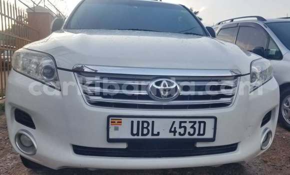 Acheter Occasion Voiture Toyota Vanguard Blanc à Bugembe, Est Acheter Occasion Voiture Toyota Vanguard Blanc à Bugembe, Est