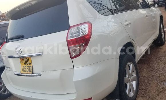 Acheter Occasion Voiture Toyota Vanguard Blanc à Bugembe, Est Acheter Occasion Voiture Toyota Vanguard Blanc à Bugembe, Est