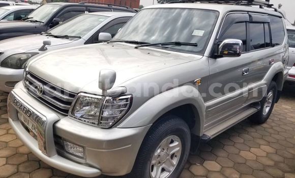 Gura Yakoze Toyota Land Cruiser Other Imodoka i Bugembe mu Eastern Gura Yakoze Toyota Land Cruiser Other Imodoka i Bugembe mu Eastern