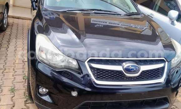 Buy Used Subaru Impreza Black Car in Bundibugyo in Western