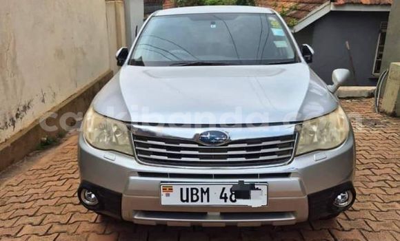 Nunua Ilio tumika Subaru Forester Nyingine Gari ndani ya Bugembe nchini Mashariki Nunua Ilio tumika Subaru Forester Nyingine Gari ndani ya Bugembe nchini Mashariki