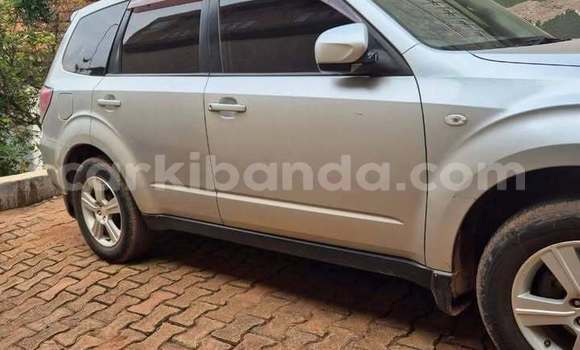 Buy Used Subaru Forester Other Car in Bugembe in Eastern Buy Used Subaru Forester Other Car in Bugembe in Eastern