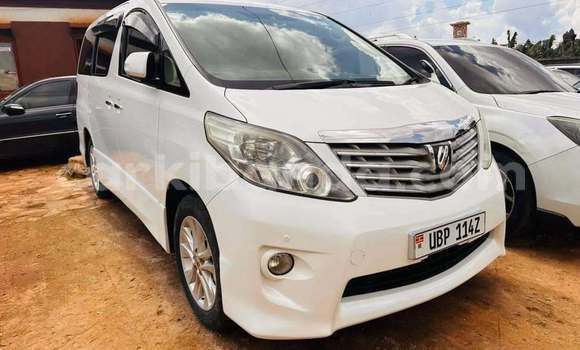 Acheter Occasion Voiture Toyota Alphard Blanc à Bundibugyo, Occidental