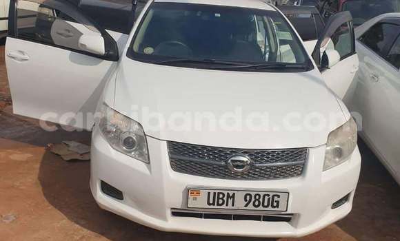 Acheter Occasion Voiture Toyota Fielder Blanc à Bundibugyo, Occidental