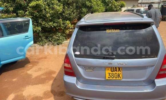 Acheter Occasion Voiture Subaru Forester Autre à Bombo, Central Acheter Occasion Voiture Subaru Forester Autre à Bombo, Central