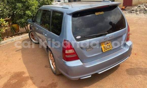 Acheter Occasion Voiture Subaru Forester Autre à Bombo, Central Acheter Occasion Voiture Subaru Forester Autre à Bombo, Central