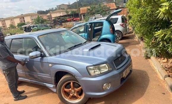 Acheter Occasion Voiture Subaru Forester Autre à Bombo, Central Acheter Occasion Voiture Subaru Forester Autre à Bombo, Central