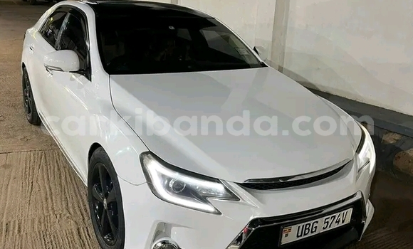 Nunua Ilio tumika Toyota Mark X Nyeupe Gari ndani ya Iganga nchini Uganda Nunua Ilio tumika Toyota Mark X Nyeupe Gari ndani ya Iganga nchini Uganda