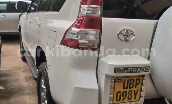 Nunua Ilio tumika Toyota Land Cruiser Prado Nyeupe Gari ndani ya Bugiri nchini Mashariki Nunua Ilio tumika Toyota Land Cruiser Prado Nyeupe Gari ndani ya Bugiri nchini Mashariki