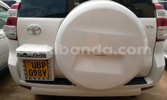 Nunua Ilio tumika Toyota Land Cruiser Prado Nyeupe Gari ndani ya Bugiri nchini Mashariki Nunua Ilio tumika Toyota Land Cruiser Prado Nyeupe Gari ndani ya Bugiri nchini Mashariki