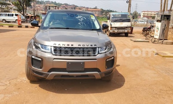 Buy New Rover 100 Brown Car in Kampala in Uganda