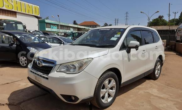 Acheter Import Voiture Subaru Forester Blanc à Kampala, Ouganda Acheter Import Voiture Subaru Forester Blanc à Kampala, Ouganda