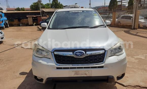 Acheter Import Voiture Subaru Forester Blanc à Kampala, Ouganda Acheter Import Voiture Subaru Forester Blanc à Kampala, Ouganda