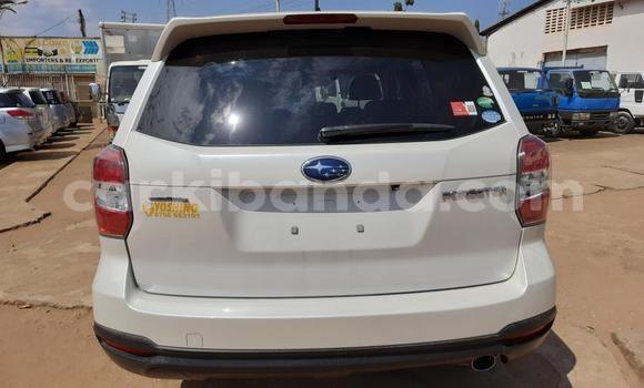 Acheter Import Voiture Subaru Forester Blanc à Kampala, Ouganda Acheter Import Voiture Subaru Forester Blanc à Kampala, Ouganda