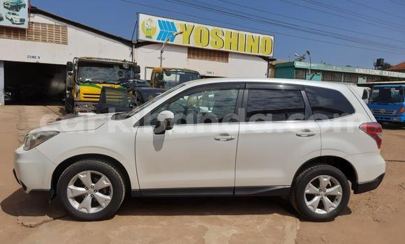 Acheter Import Voiture Subaru Forester Blanc à Kampala, Ouganda Acheter Import Voiture Subaru Forester Blanc à Kampala, Ouganda