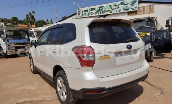 Acheter Import Voiture Subaru Forester Blanc à Kampala, Ouganda Acheter Import Voiture Subaru Forester Blanc à Kampala, Ouganda
