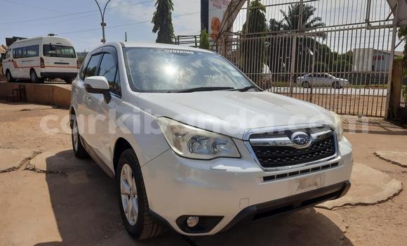 Acheter Import Voiture Subaru Forester Blanc à Kampala, Ouganda Acheter Import Voiture Subaru Forester Blanc à Kampala, Ouganda