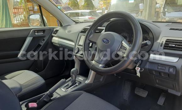Acheter Import Voiture Subaru Forester Blanc à Kampala, Ouganda Acheter Import Voiture Subaru Forester Blanc à Kampala, Ouganda