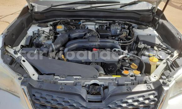 Acheter Import Voiture Subaru Forester Blanc à Kampala, Ouganda Acheter Import Voiture Subaru Forester Blanc à Kampala, Ouganda