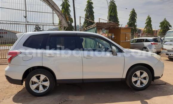 Acheter Import Voiture Subaru Forester Blanc à Kampala, Ouganda Acheter Import Voiture Subaru Forester Blanc à Kampala, Ouganda
