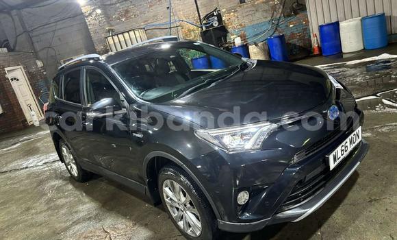 Buy Import Toyota RAV4 Other Car in Kampala in Uganda Buy Import Toyota RAV4 Other Car in Kampala in Uganda