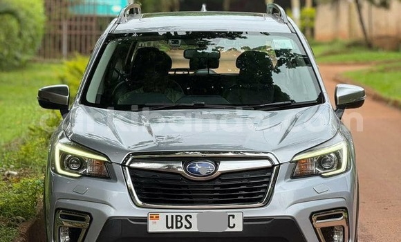 Buy New Subaru Forester Silver Car in Kampala in Uganda