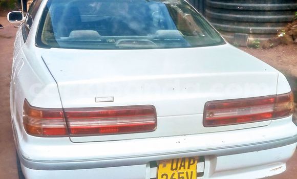 Buy Used Toyota Mark II White Car in Entebbe in Uganda Buy Used Toyota Mark II White Car in Entebbe in Uganda