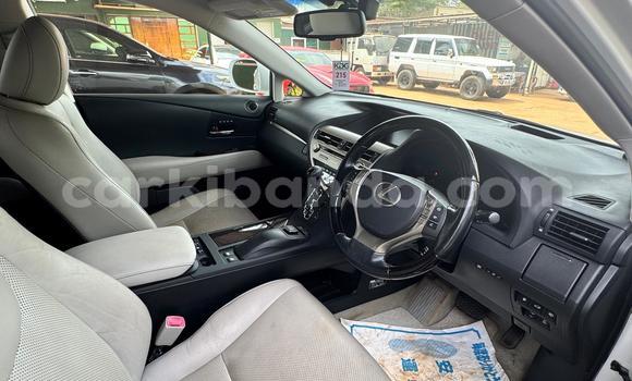 Buy Import Lexus RX White Car in Kampala in Uganda Buy Import Lexus RX White Car in Kampala in Uganda
