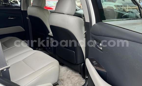 Buy Import Lexus RX White Car in Kampala in Uganda Buy Import Lexus RX White Car in Kampala in Uganda