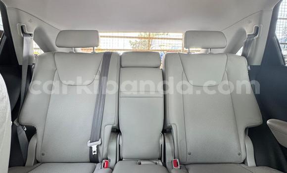 Buy Import Lexus RX White Car in Kampala in Uganda Buy Import Lexus RX White Car in Kampala in Uganda