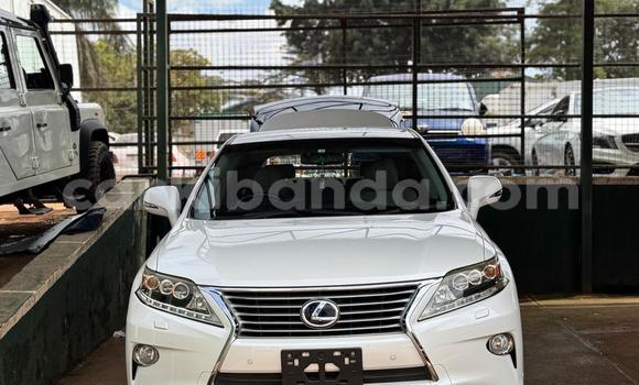 Buy Import Lexus RX White Car in Kampala in Uganda Buy Import Lexus RX White Car in Kampala in Uganda