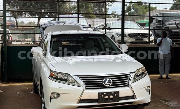 Buy Import Lexus RX White Car in Kampala in Uganda Buy Import Lexus RX White Car in Kampala in Uganda
