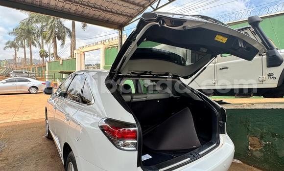 Buy Import Lexus RX White Car in Kampala in Uganda Buy Import Lexus RX White Car in Kampala in Uganda