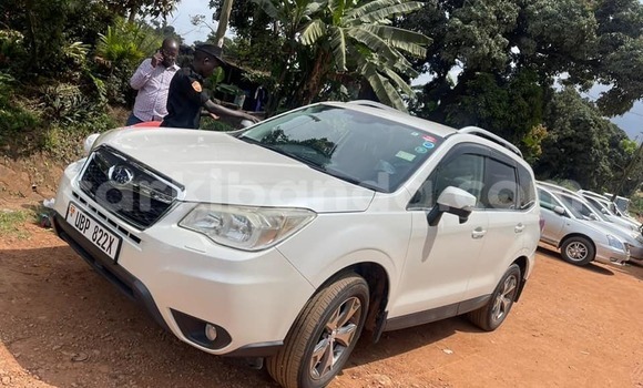Buy Used Subaru Forester White Car in Busembatia in Eastern