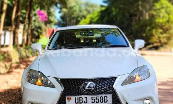 Buy Used Lexus IS White Car in Kampala in Uganda Buy Used Lexus IS White Car in Kampala in Uganda
