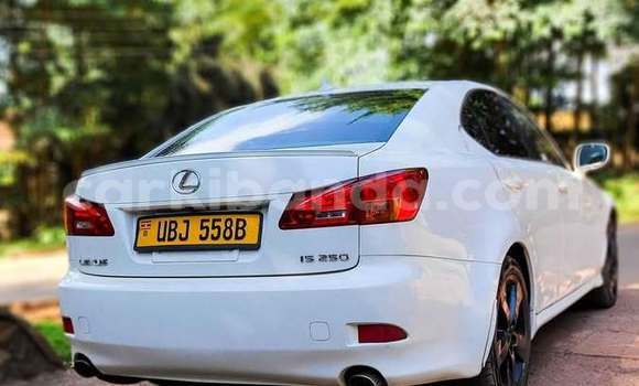 Buy Used Lexus IS White Car in Kampala in Uganda Buy Used Lexus IS White Car in Kampala in Uganda