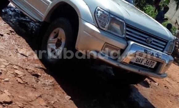 Buy Used Toyota Prado White Car in Kampala in Uganda