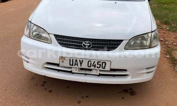 Buy Used Toyota Spacio White Car in Bushenyi in Western Buy Used Toyota Spacio White Car in Bushenyi in Western