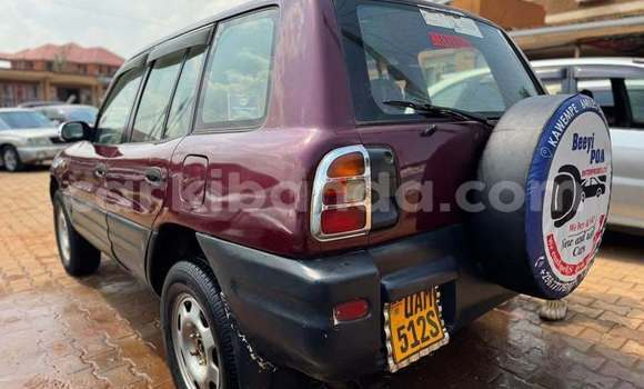 Buy Used Toyota RAV4 Red Car in Bugembe in Eastern Buy Used Toyota RAV4 Red Car in Bugembe in Eastern
