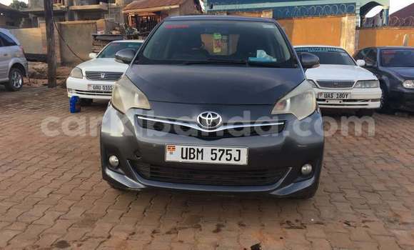 Buy Used Toyota Ractis Other Car in Bugembe in Eastern Buy Used Toyota Ractis Other Car in Bugembe in Eastern