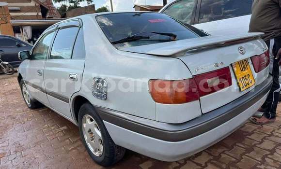 Buy Used Toyota Premio White Car in Bundibugyo in Western Buy Used Toyota Premio White Car in Bundibugyo in Western