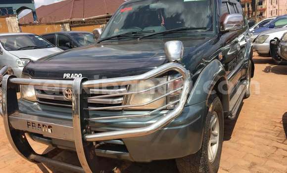 Acheter Occasion Voiture Toyota Prado Noir à Bugiri, Est