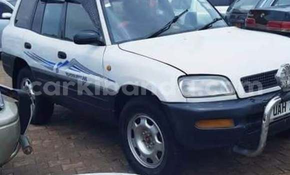 Nunua Ilio tumika Toyota RAV4 Nyeupe Gari ndani ya Bugembe nchini Mashariki